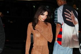 NEWS: EmRata Shimmery Sheer dress