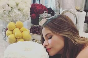 Sofia Vergara Cake LEAD