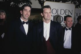 David Schwimmer Matthew Perry