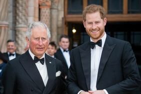 King Charles Prince Harry "Our Planet" global premiere