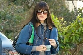 Dakota Johnson Denim